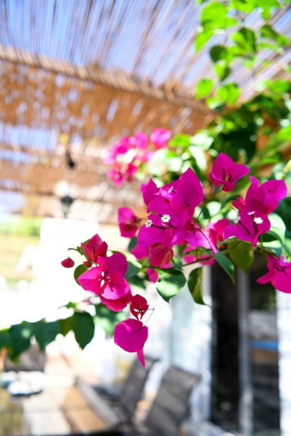 Serenity Luxury Villa, Skiathos Agia Paraskevi (Skiathos) Exterior foto